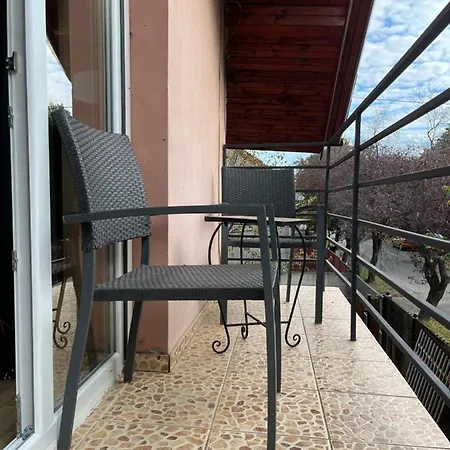 Nest Near Amazonia And Iulius Town *