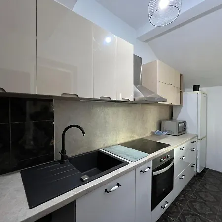 Nest Near Amazonia And Iulius Town * Timişoara