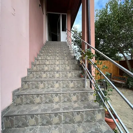 Nest Near Amazonia And Iulius Town Daire