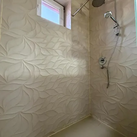 Nest Near Amazonia And Iulius Town *