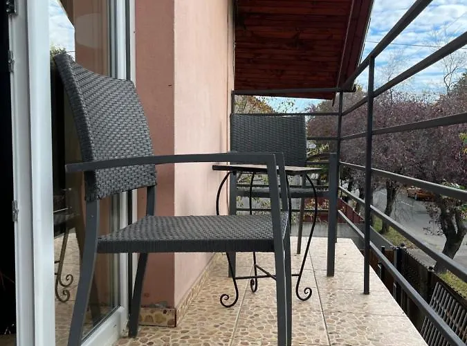 Nest Near Amazonia And Iulius Town *