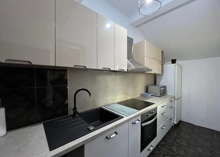 Nest Near Amazonia And Iulius Town * Timisoara